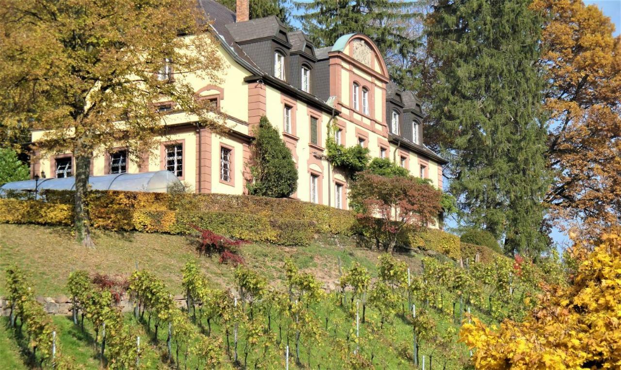 Wein - Josephsberg Durbach